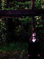 AUTOPORTRET (2005)