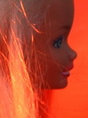 NARCIS BARBIE (2005)